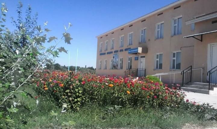 119427923 2483068005319398 1765923059826008696 n