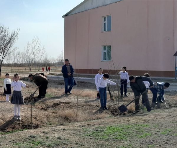 334971840 240178721690585 8793716214973723074 n