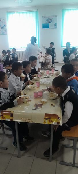 395356652 3269670063325851 4461116471414674577 n