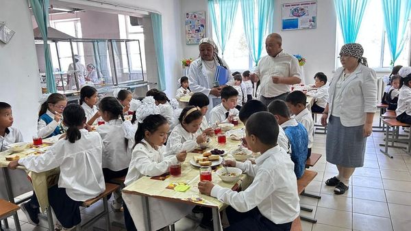 459196835 3478273105798878 8004276675268341027 n