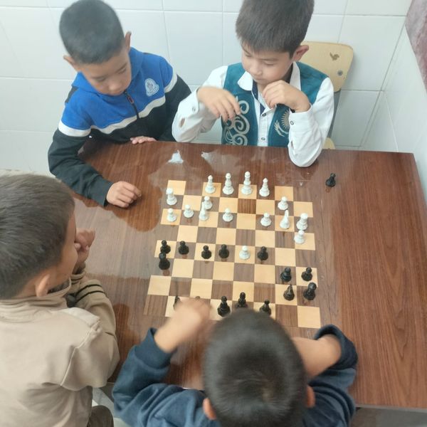 463833860 3513992882226900 8129000175697771135 n