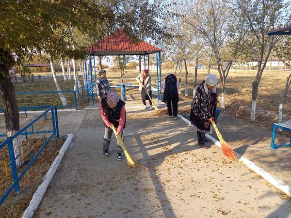 465273253 3525960361030152 81252110276161956 n